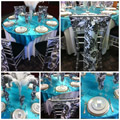Turquoise Satin & Black and White Damask.jpg